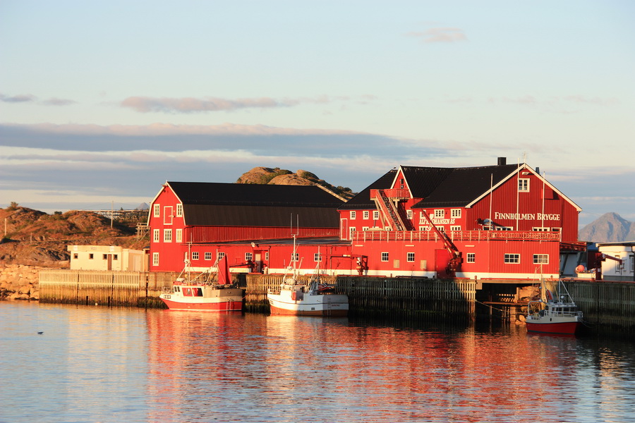 Finnholmen, Lofoten, Henningsvær, Nordland, Norwegen