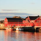 Finnholmen, Lofoten, Henningsvær, Nordland, Norwegen