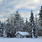 finnisch Lappland, im Februar 2013