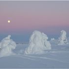 Finnisch Lapplands Winterlandschaft mit Mondschein