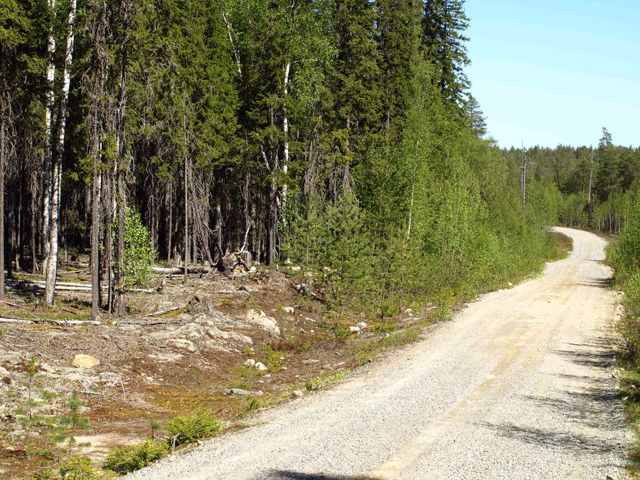 Finnische Straße