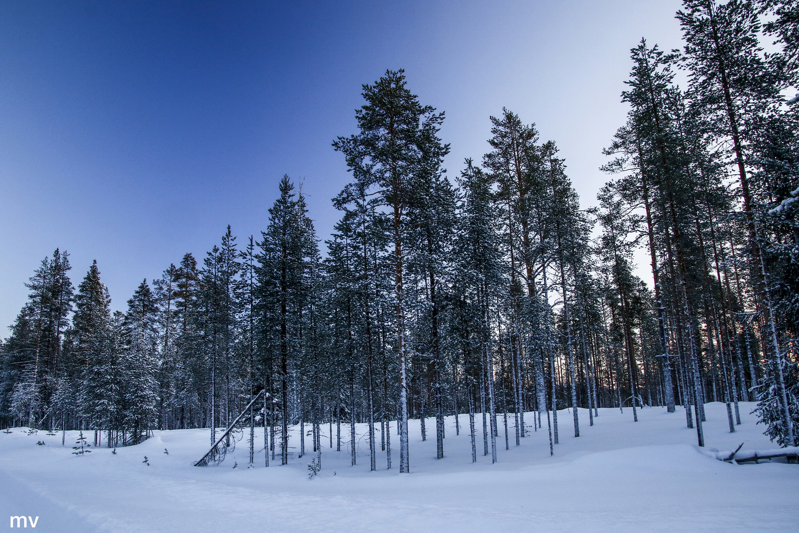 finnische Winter