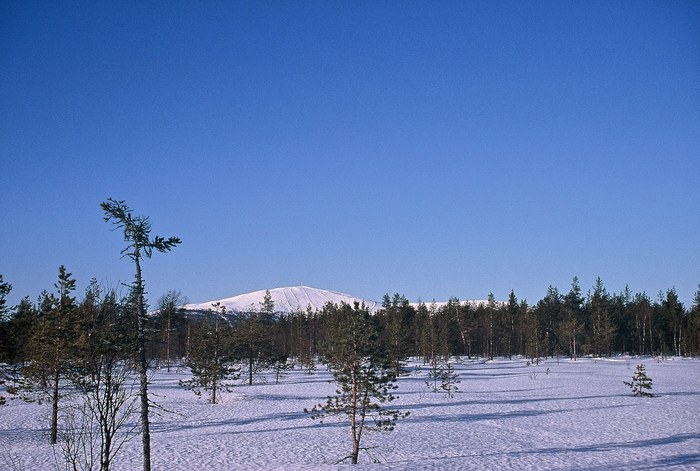 Finnische Winterlandschaft