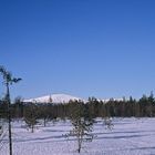 Finnische Winterlandschaft