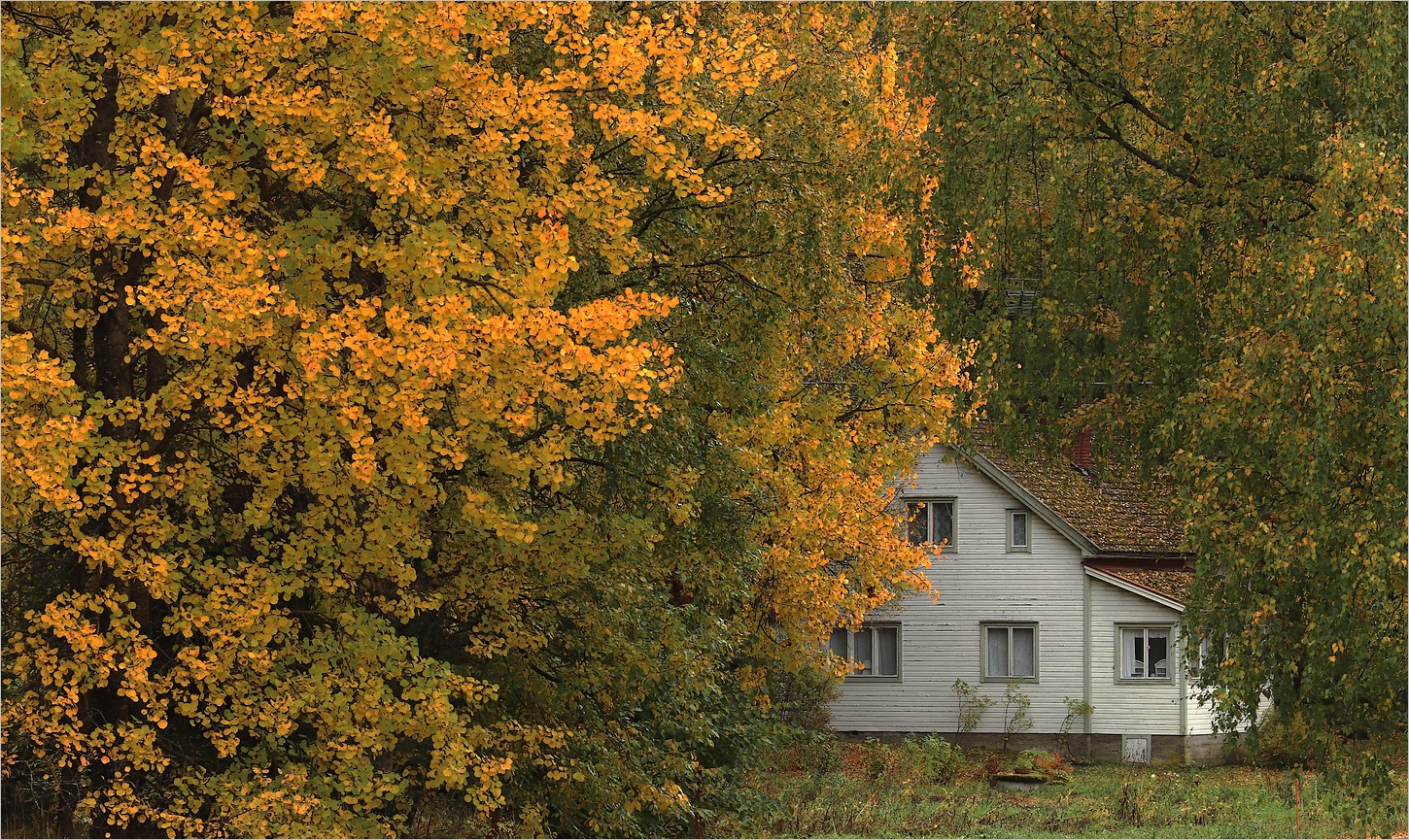 Finnischer Herbst