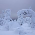 Finnisches Wintermärchen