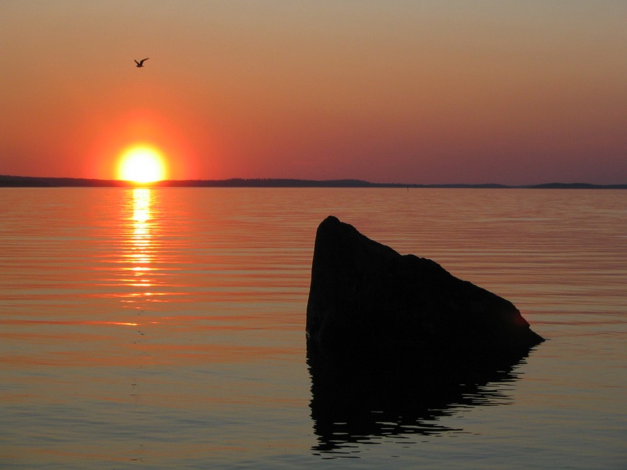 Finnish summer II