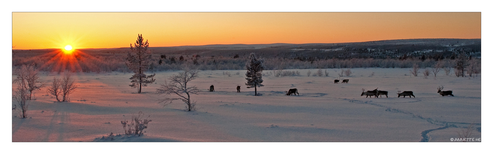 Finnish Sunset