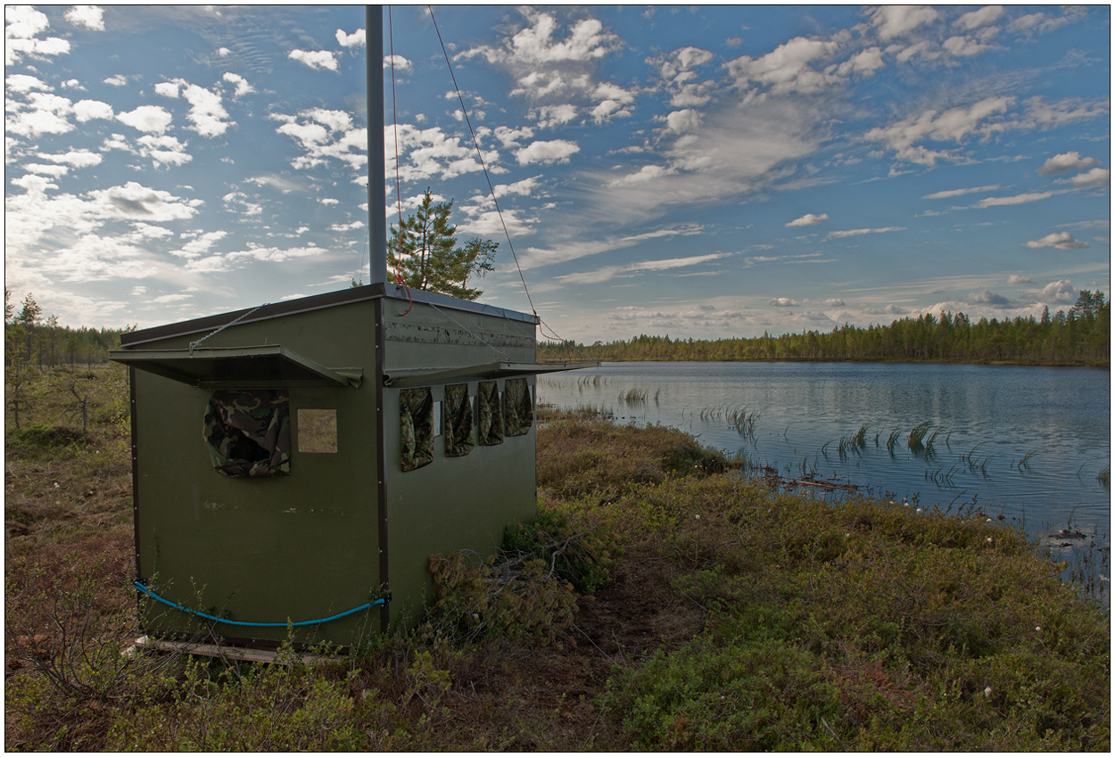 Finnland Bärenland [10] - Hide