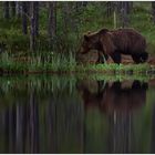 Finnland Bärenland [22] - Spiegelung