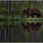 Finnland Bärenland [22] - Spiegelung