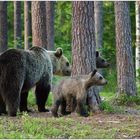 Finnland Bärenland [73] - Familienansichten