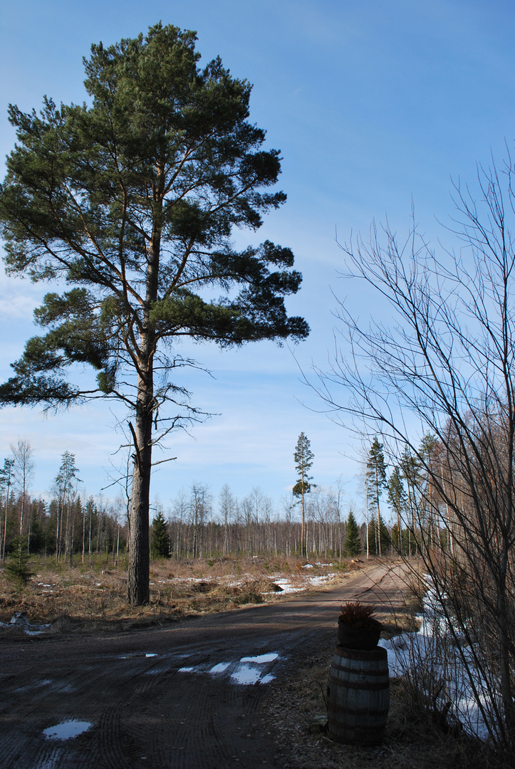 Finnland im april..