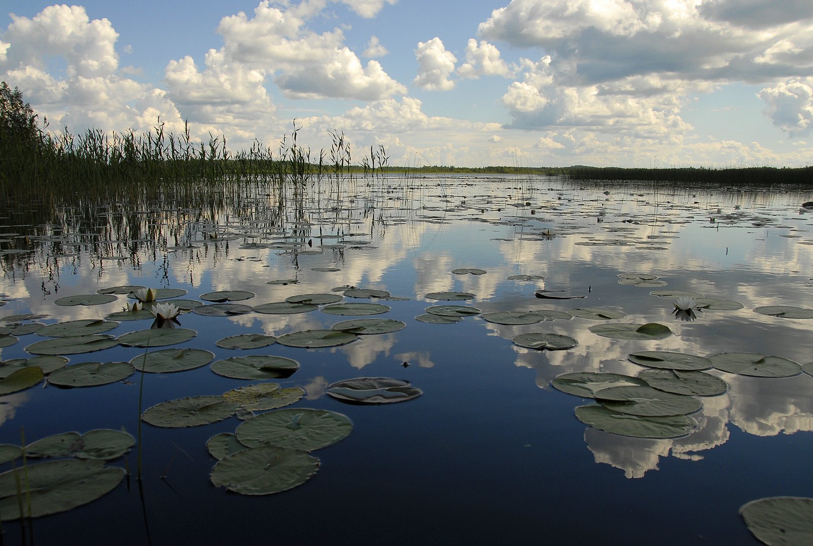 Finnland-Seenidyll