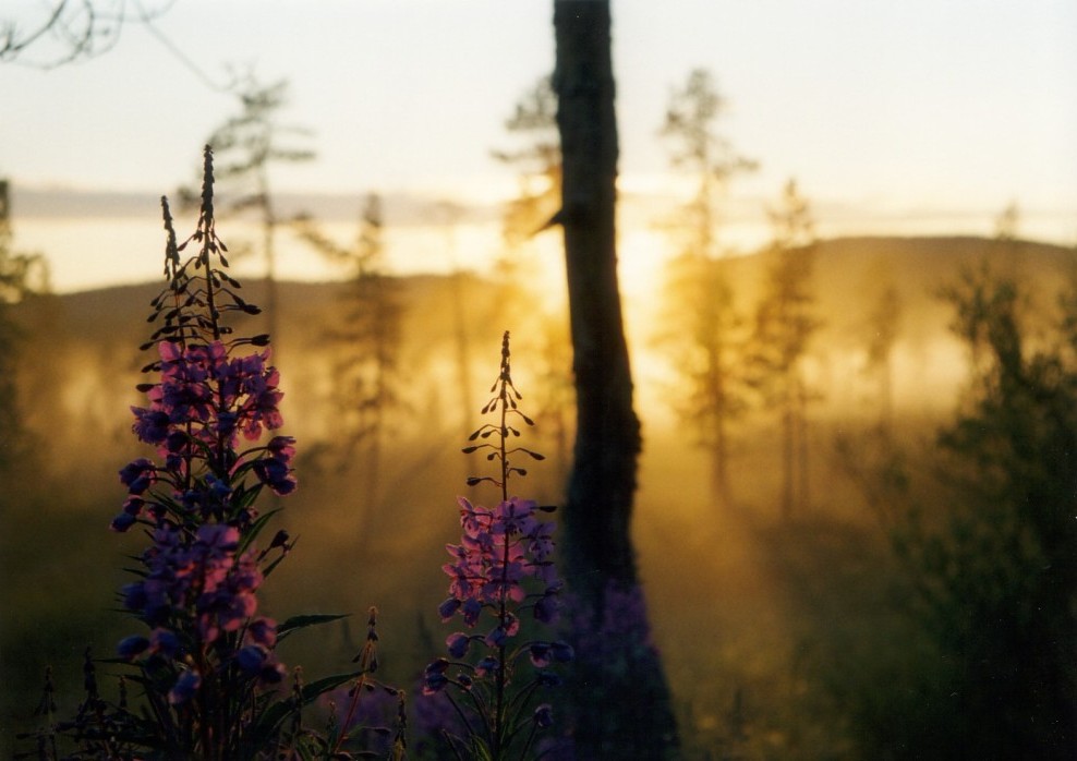 Finnland von seiner schönen Seite