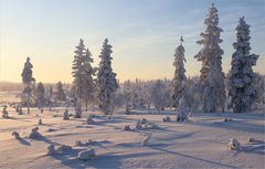 Finnland Winter mittags