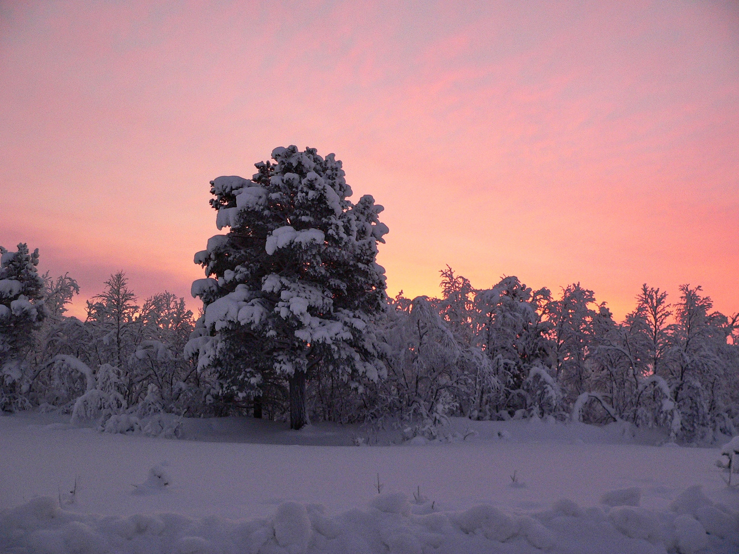 Finnland winterlich