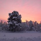 Finnland winterlich