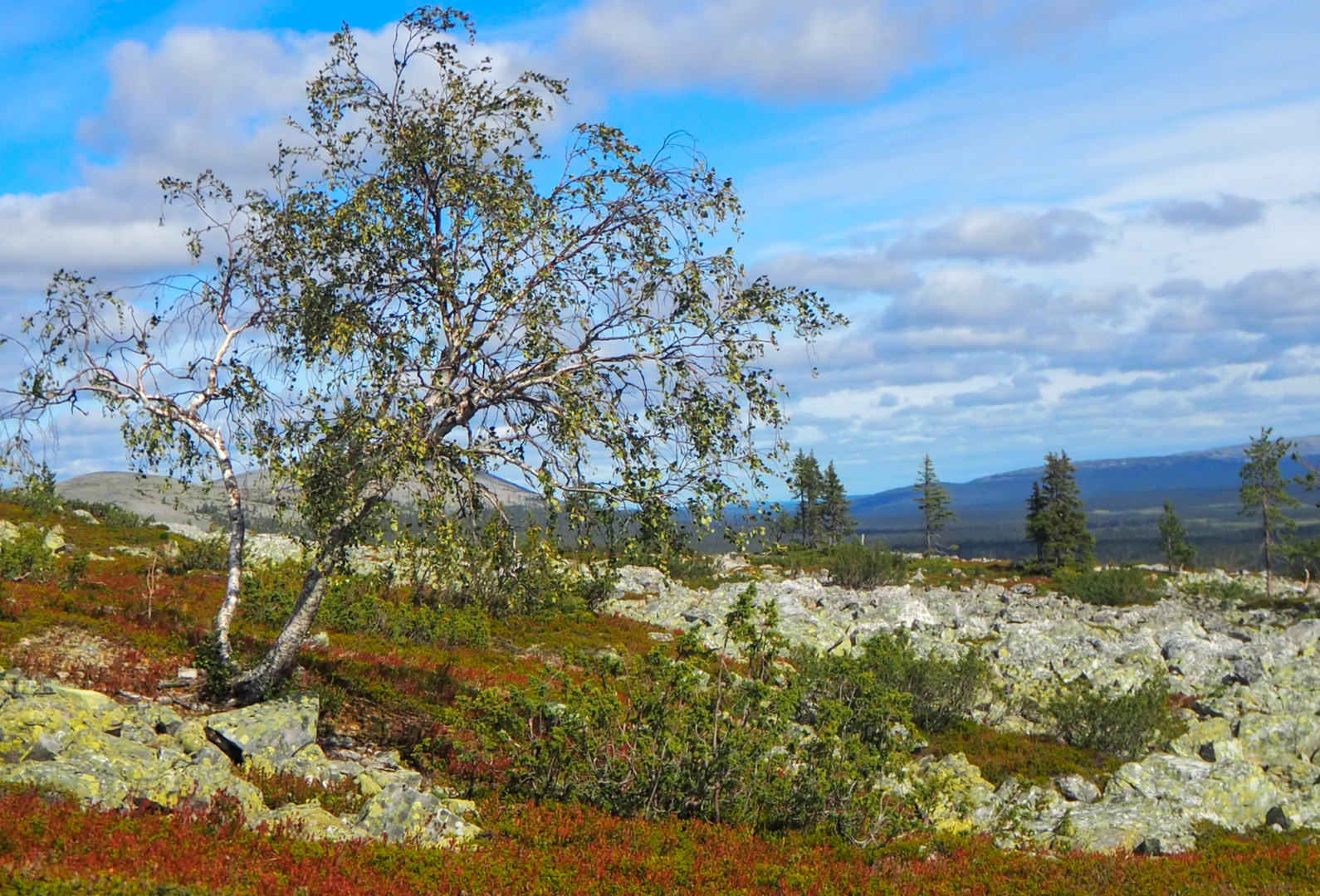 Finnland-Ylläs 