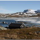 Finse/Hardangervidda