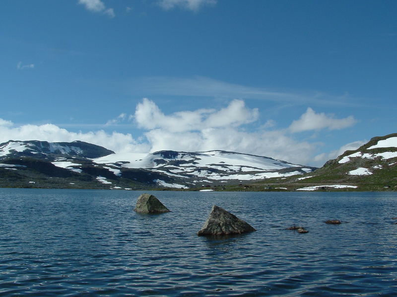 finse>myrdal>flåm