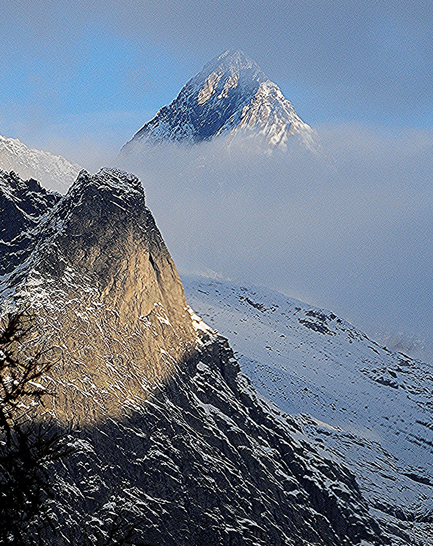 Finsteraarhorn 4'274m und Engelslamme (im Vordergrund) (2'807m)