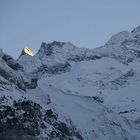 Finsteraarhorn; Grindelwald