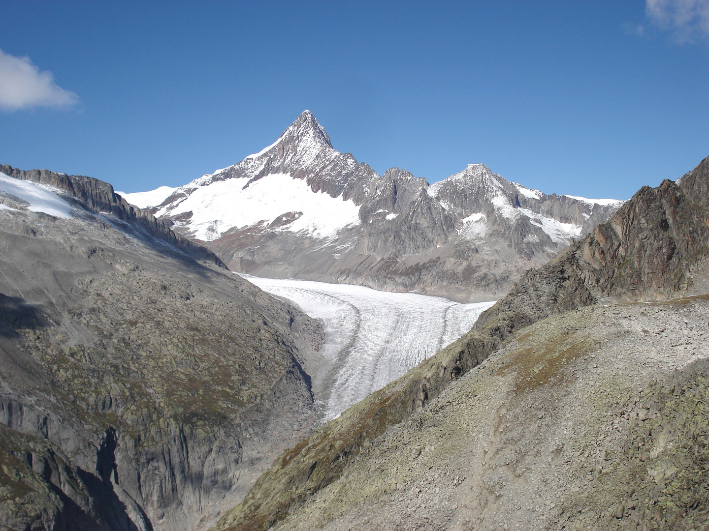 Finsteraarhorn mit Fieschergletscher