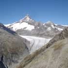 Finsteraarhorn mit Fieschergletscher