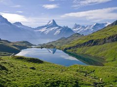 Finsteraarhorn und Bachalpsee im Morgenlicht