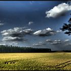 Finstere Wolken aus dem Sommerarchiv...