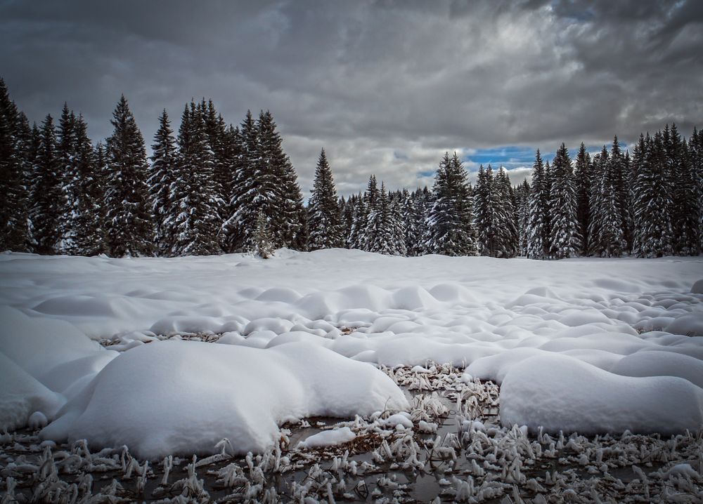 Fiocchi di neve