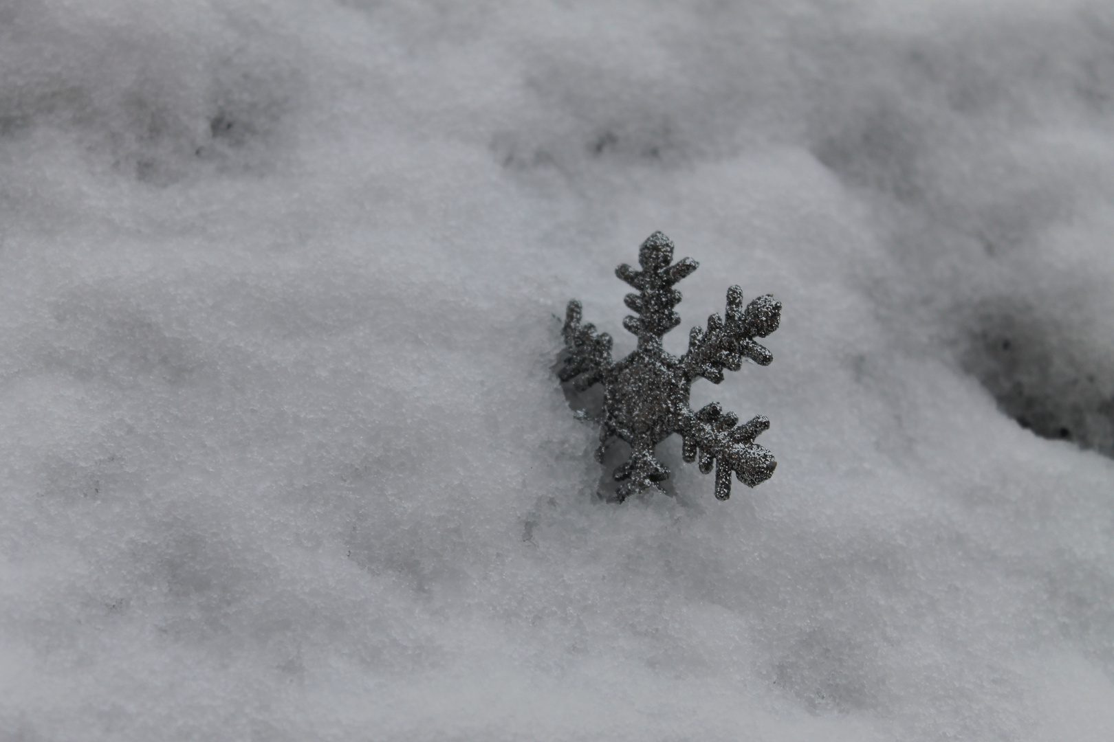 Fiocco di neve nella neve