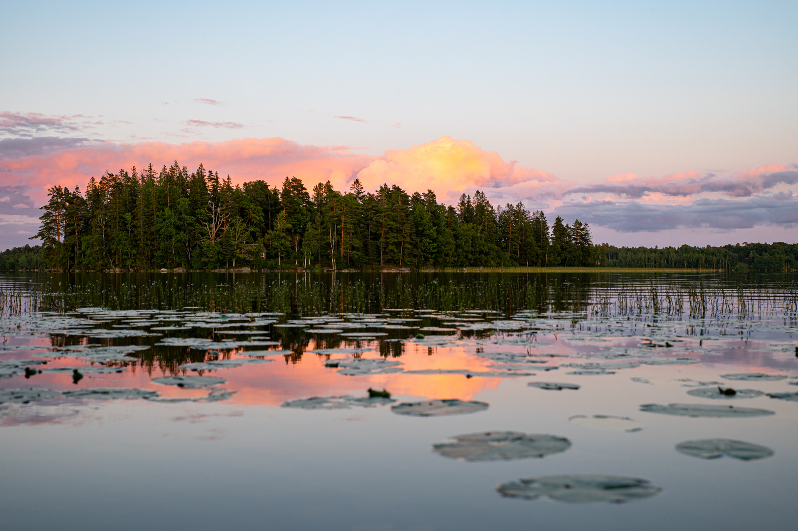 Fiolen am Abend