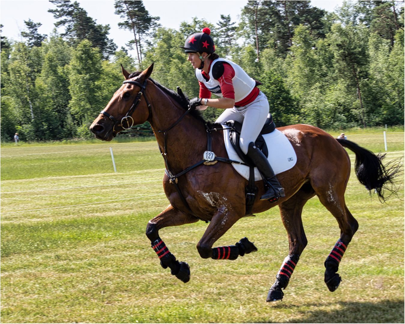 Fiona Kashel (GBR) mit WSF Carthago