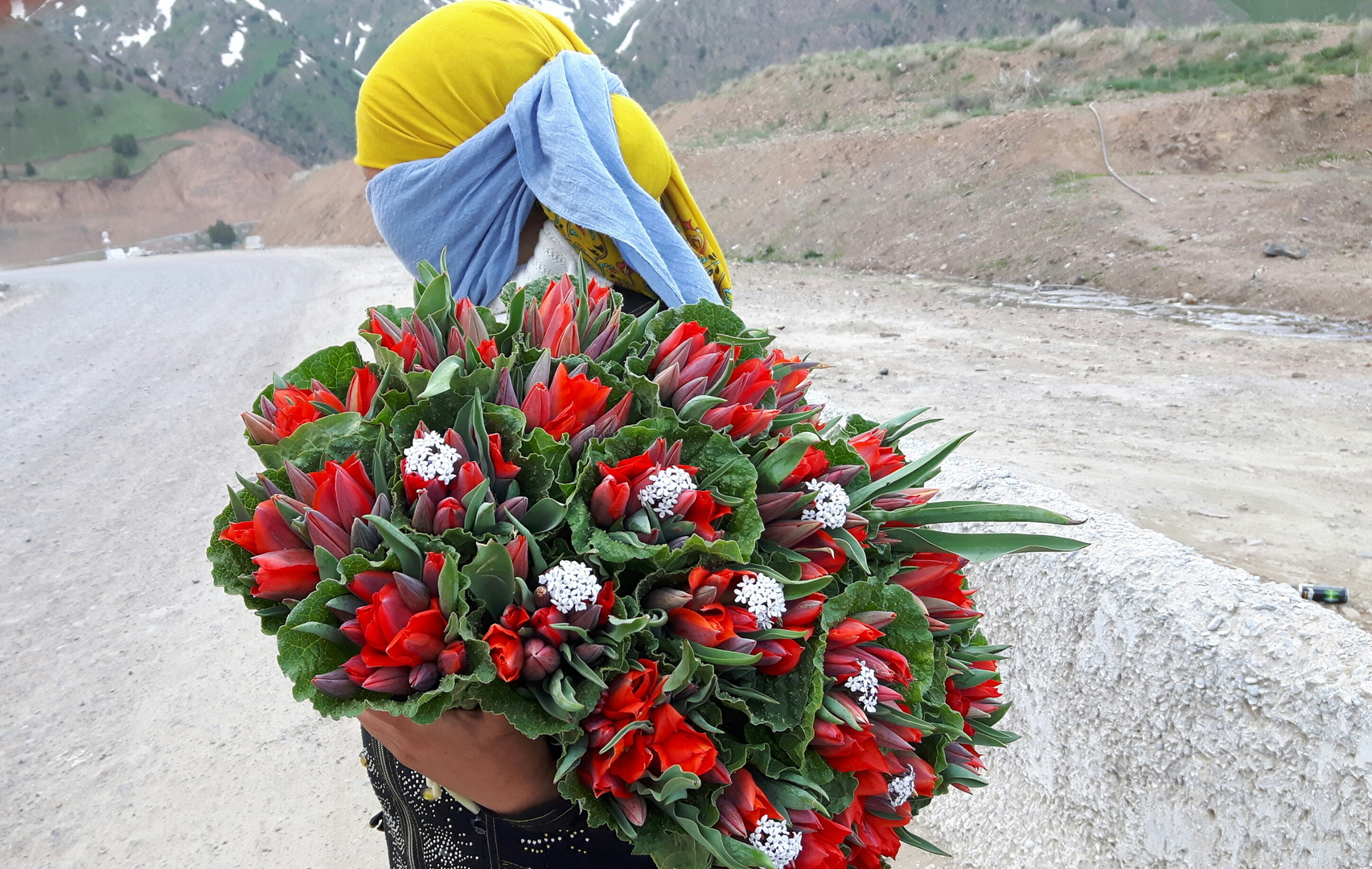 Fioraia in Uzbekistan