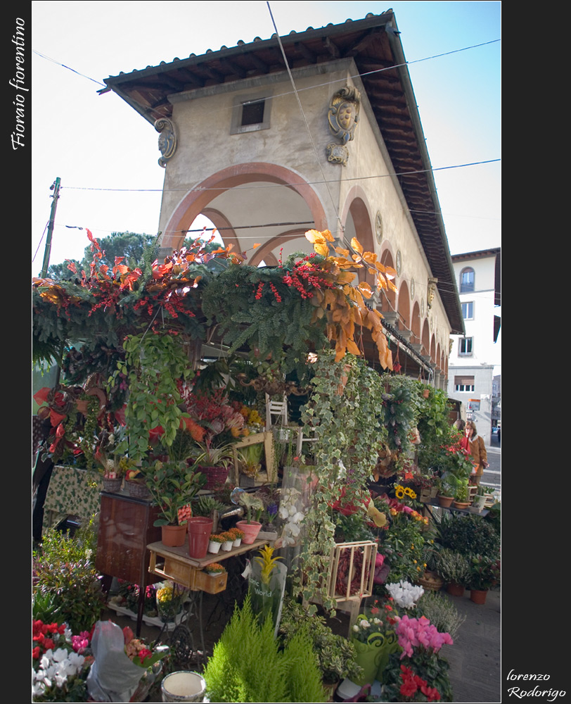 Fioraio fiorentino