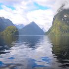 Fiordland