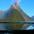 Fiordland