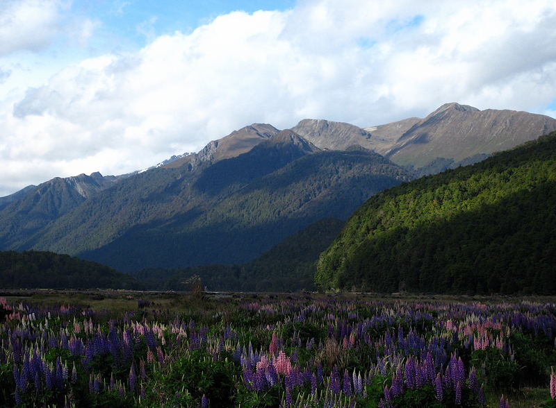 Fiordland National Park