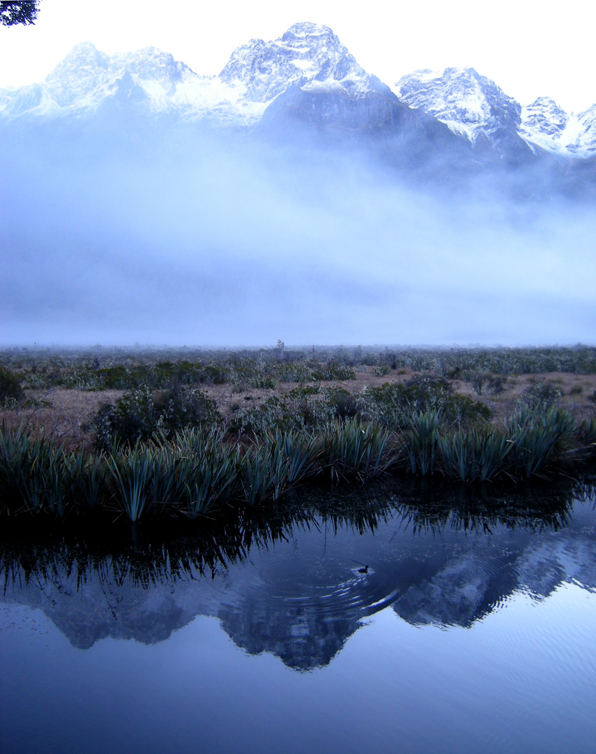 Fiordland National Park