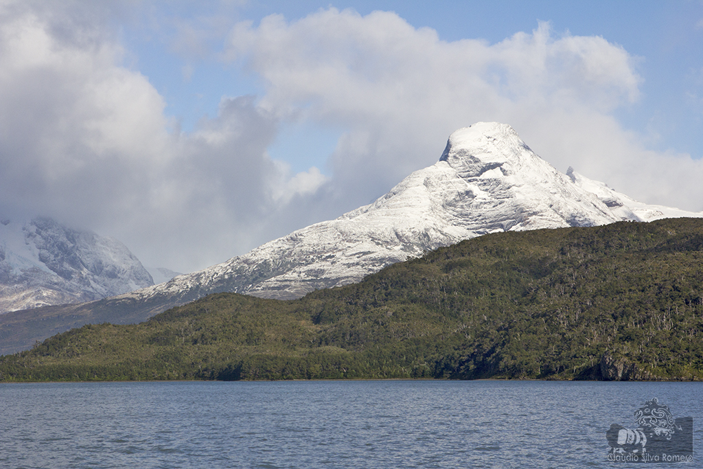 Fiordo de Última Esperanza, patagonia chilena