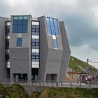 "Fiore di pietra", Monte Generoso TI