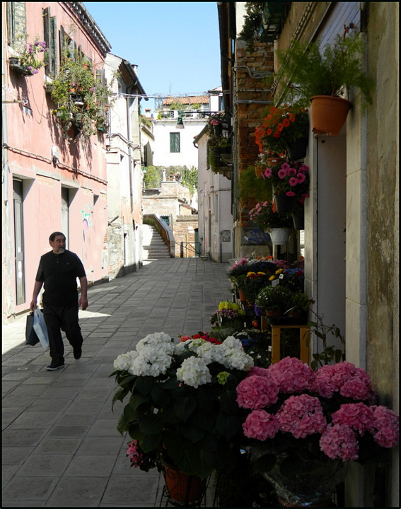 Fiori a Venezia