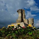 fiori con vista sul castello