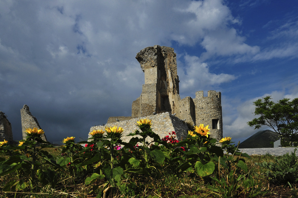 fiori con vista sul castello