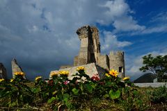 fiori con vista sul castello