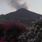 fiori e fuoco (stromboli)