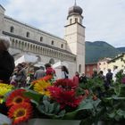 Fiori e monumenti