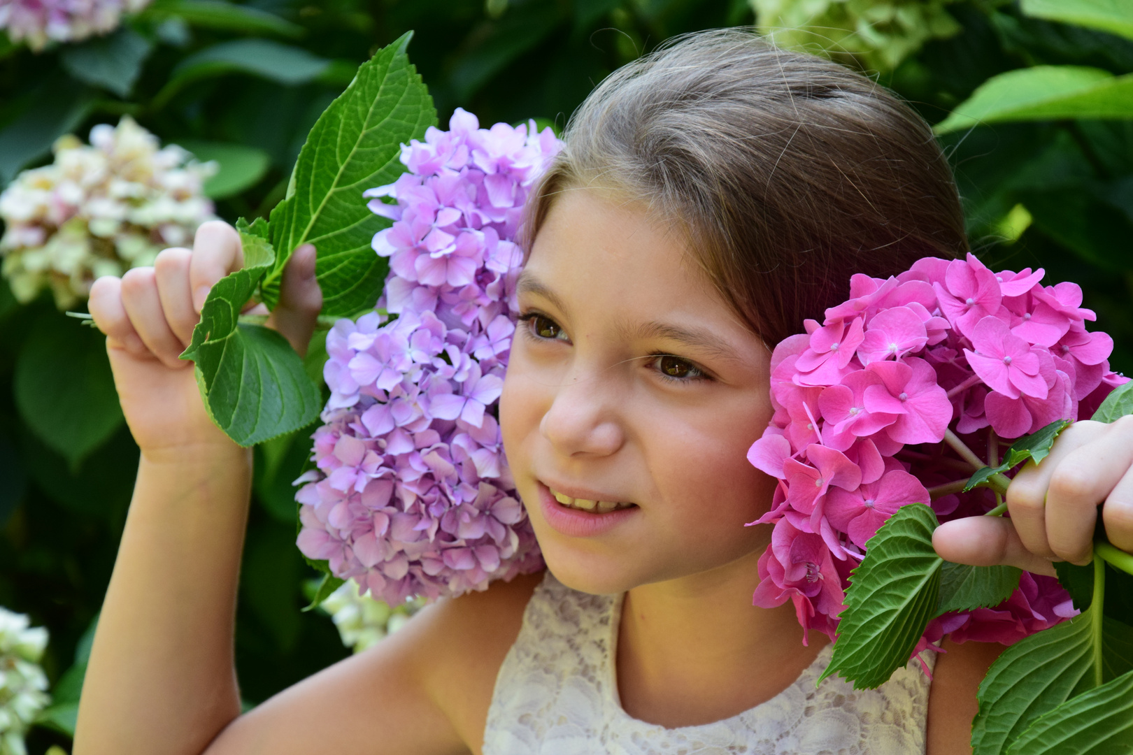 Fiori e musica